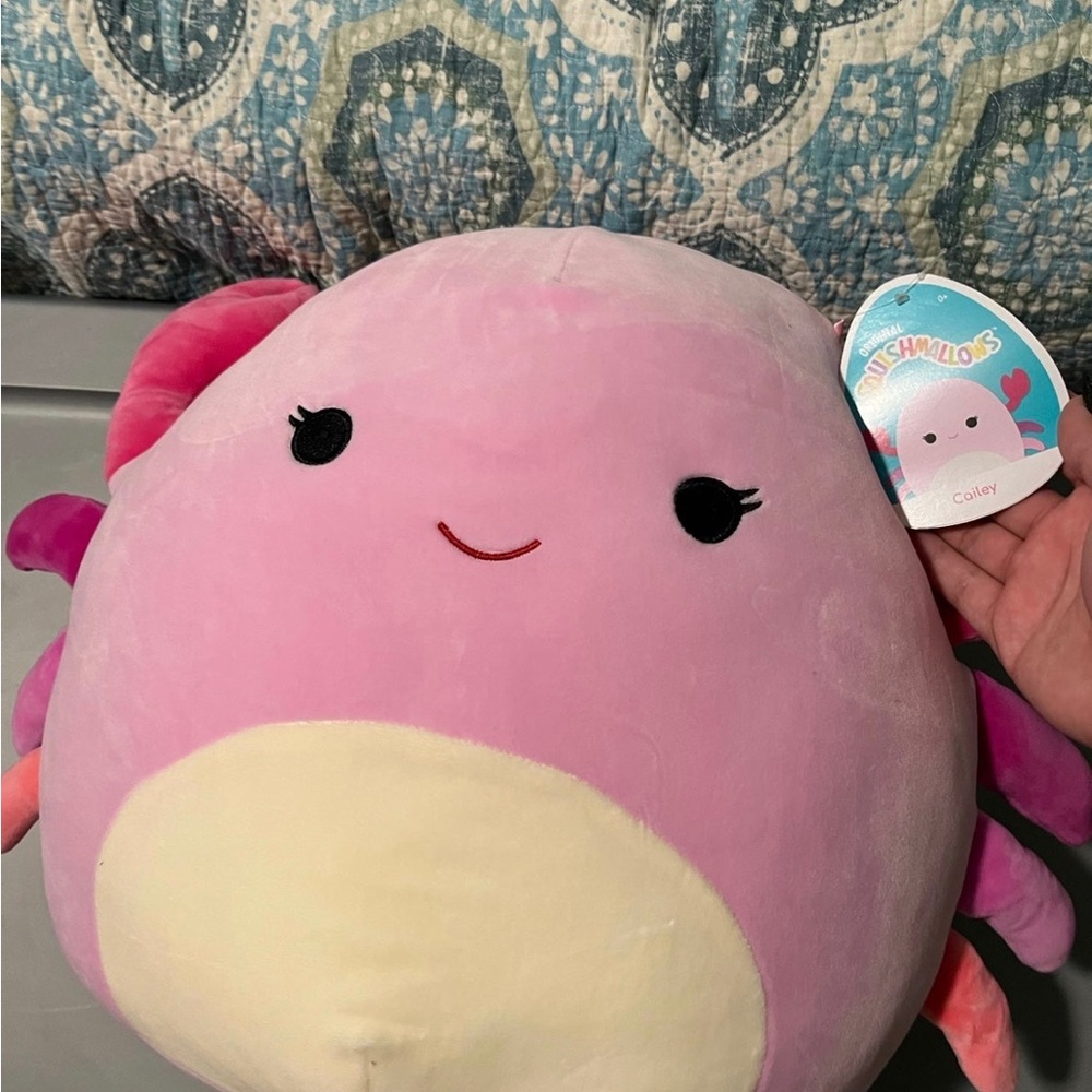 14in Cailey squishmallow